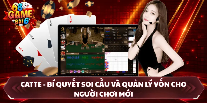 Catte - Bí Quyết Soi Cầu Và Quản Lý Vốn Cho Người Chơi Mới