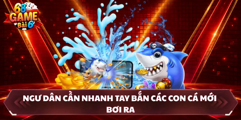 Ngư dân cần nhanh tay bắn các con cá mới bơi ra